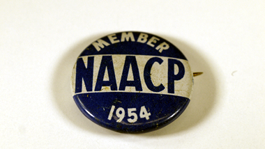 Making the Movement Pinback